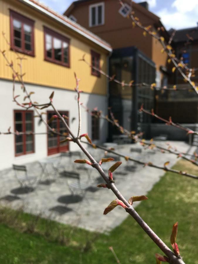 锤子